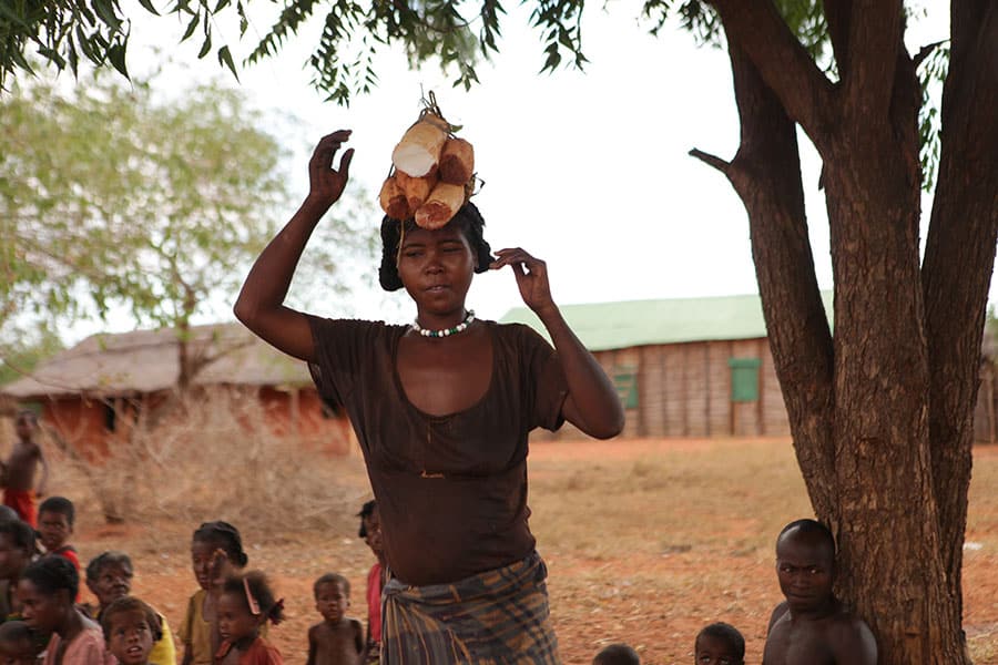 Ressources apaisada Femme Mikea Madagascar portant des tubercules de baboho, l'aliment de base des Mikea qui est récolté dans la forêt CRAAD OI