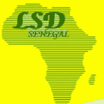 African Women rise for Climate Justice NOW LSD
